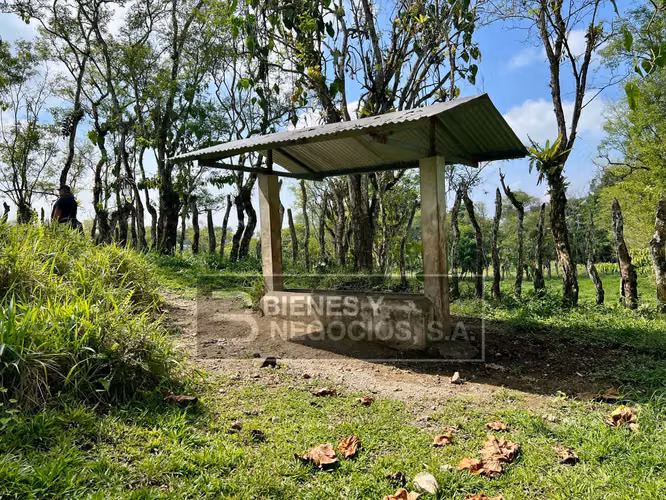 Fincas en Chiriqui, San Andres, 12.6 hectáreas en San Francisco