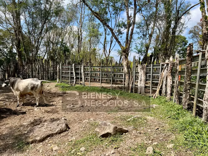 Fincas en Chiriqui, San Andres, 12.6 hectáreas en San Francisco