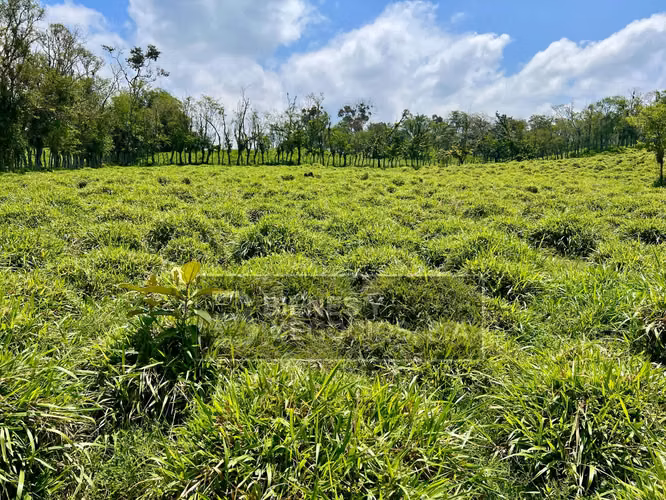 Fincas en Chiriqui, San Andres, 12.6 hectáreas en San Francisco