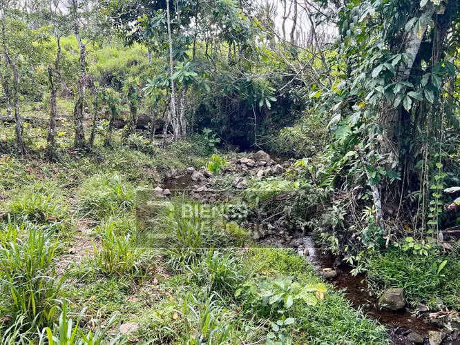 Fincas en Chiriqui, San Andres, 12.6 hectáreas en San Francisco