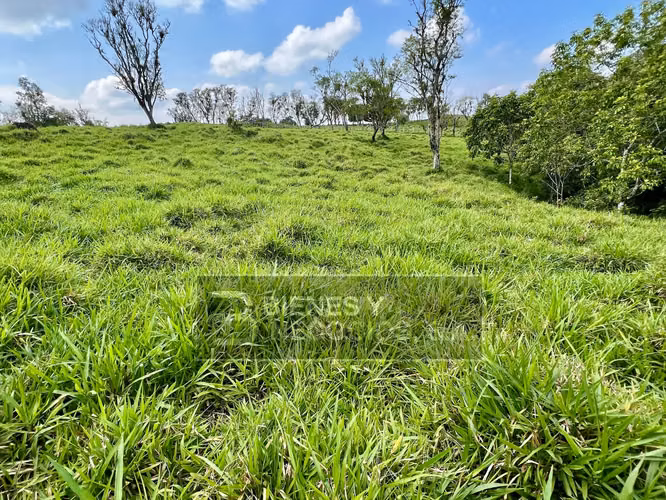 Fincas en Chiriqui, San Andres, 12.6 hectáreas en San Francisco