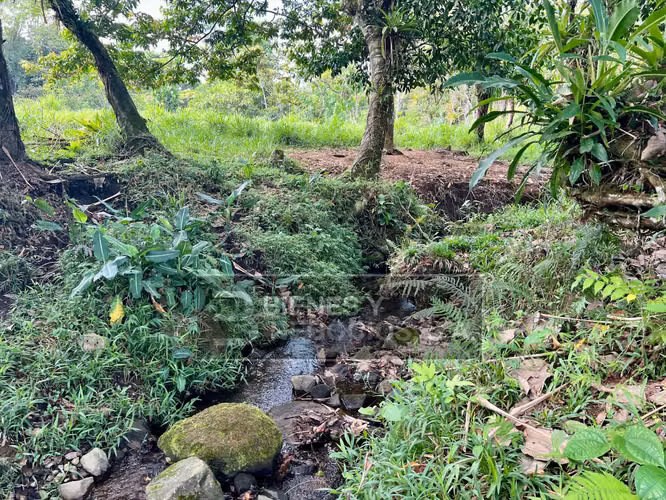 Fincas en Chiriqui, San Andres, 12.6 hectáreas en San Francisco