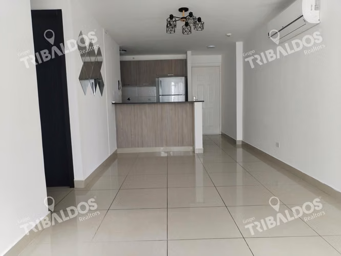 RENT / SALE PH CORAL TOWERS