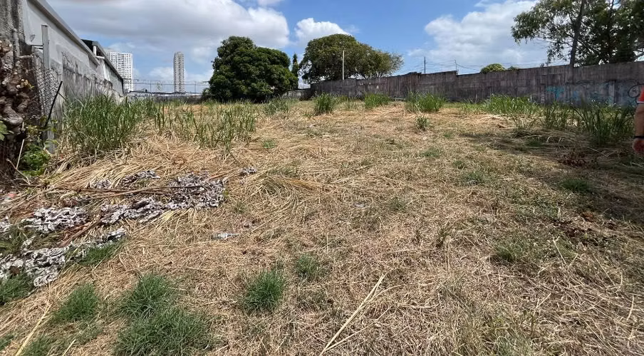 SE VENDE   PRECIO NEGOCIABLE  TERRENO AVENIDA SANTA ELENA