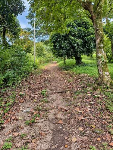 Venta de Terreno en El Valle de Antón, La India Dormida, 1,200 m² - Imagen 7
