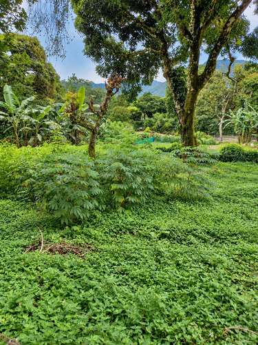 Venta de Terreno en El Valle de Antón, La India Dormida, 1,200 m² - Imagen 6