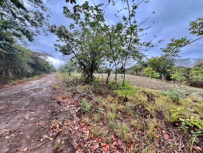 PLAYA BLANCA FARALLÓN TERRENO