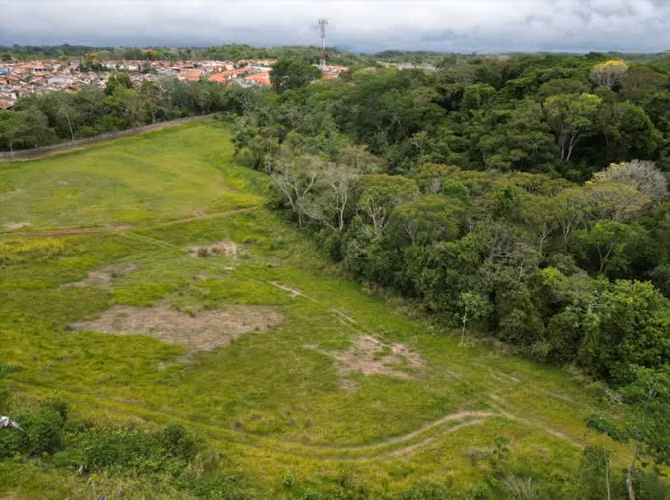 Venta de Finca en Vía las Mendozas, El Arado, La Chorrera, 80 hectáreas