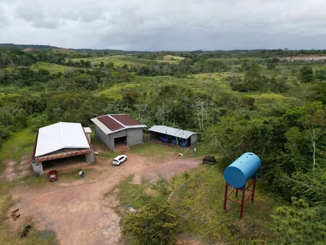 Venta de Finca en Vía las Mendozas, El Arado, La Chorrera, 80 hectáreas