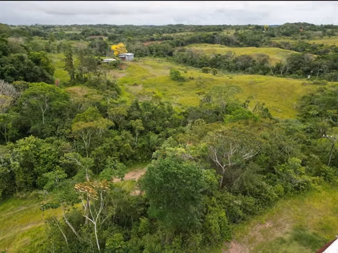 Venta de Finca en Vía las Mendozas, El Arado, La Chorrera, 80 hectáreas