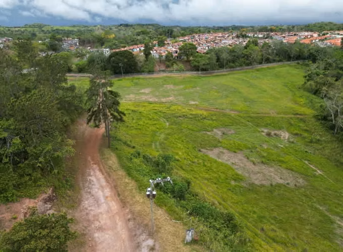 Venta de Finca en Vía las Mendozas, El Arado, La Chorrera, 80 hectáreas