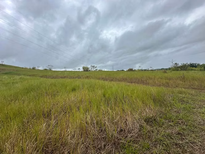 Venta de Finca en Vía las Mendozas, El Arado, La Chorrera, 80 hectáreas