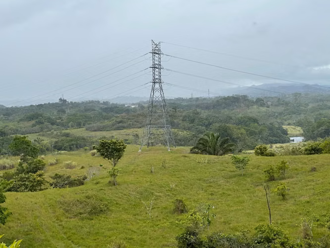 Venta de Finca en Vía las Mendozas, El Arado, La Chorrera, 80 hectáreas