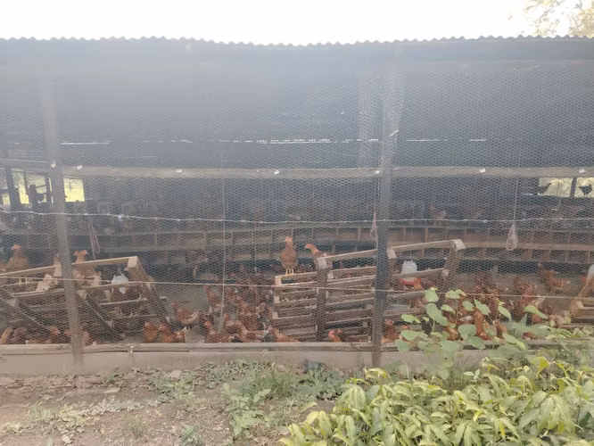 FINCA GRANDE ESPECIAL PARA PROYECTO CERCA ZONA COMERCIAL DE CORONADO - Imagen 14