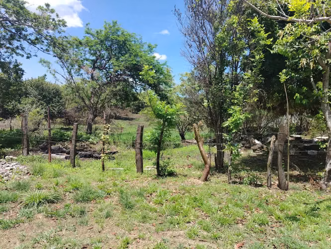 FINCA GRANDE ESPECIAL PARA PROYECTO CERCA ZONA COMERCIAL DE CORONADO - Imagen 15