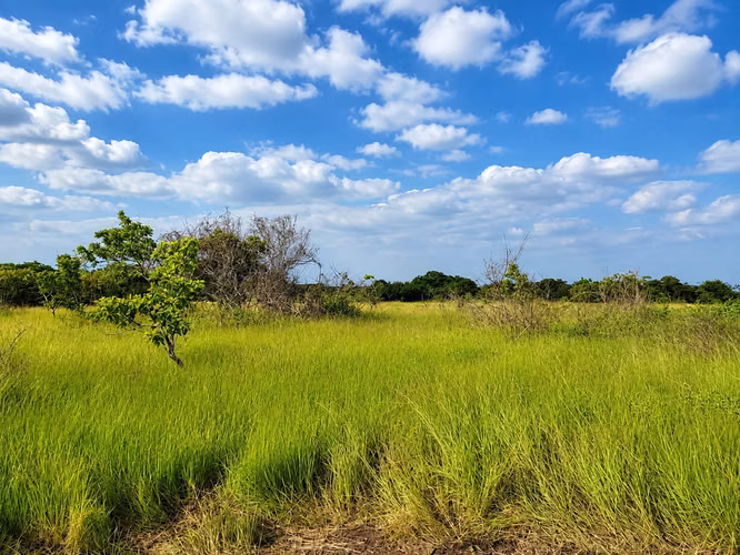 Venta de Finca en Río Hato, 68 hectáreas