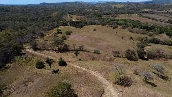 Venta de Finca en Santa Catalina, 25 hectáreas
