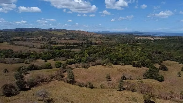 Venta de Finca en Santa Catalina, 25 hectáreas