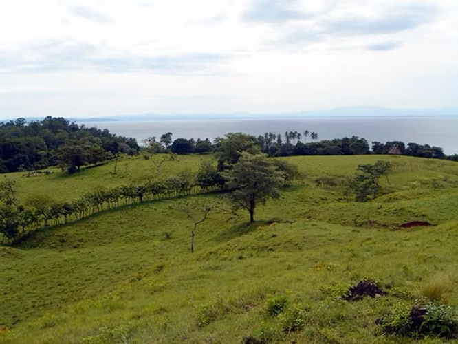 Venta de Finca en Santa Catalina, 38 hectáreas