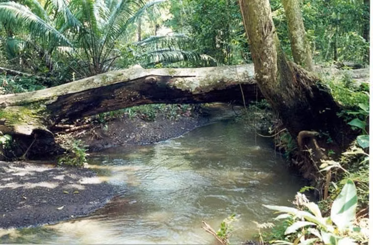 Venta de Finca en Santa Catalina, 38 hectáreas