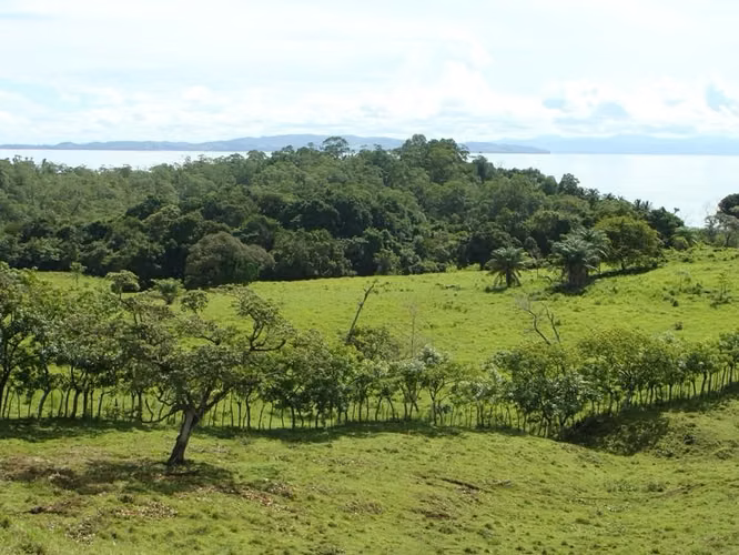 Venta de Finca en Santa Catalina, 38 hectáreas