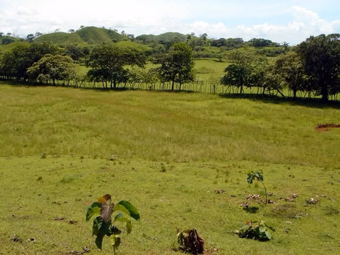 Venta de Finca en Santa Catalina, 38 hectáreas