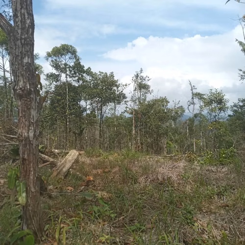 Finca en venta en Cerro Azul | 20.7 hectareas para desarrollo o inversión