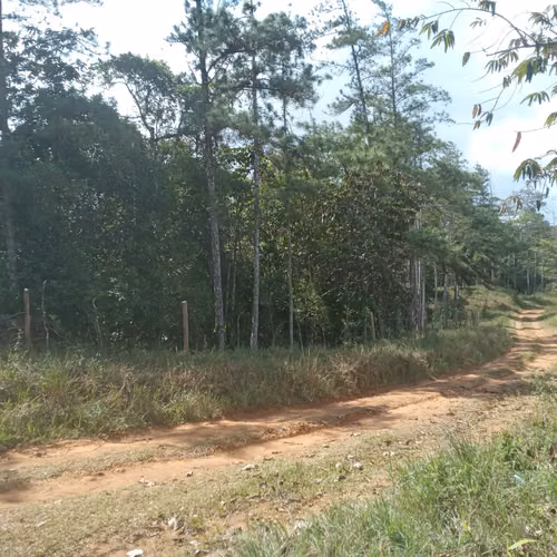 Finca en venta en Cerro Azul | 20.7 hectareas para desarrollo o inversión
