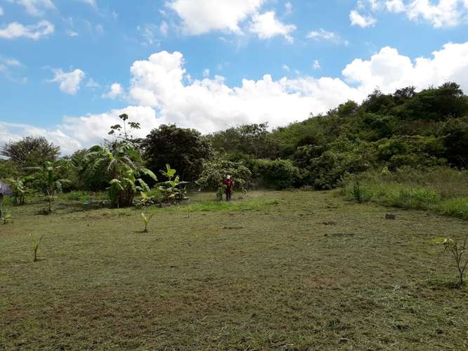 Venta de Terreno en Penonomé, 12,000m2