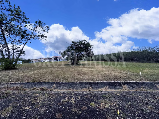 OPORTUNIDAD! SE VENDE TERRENO EN LA COLONIA CHAME