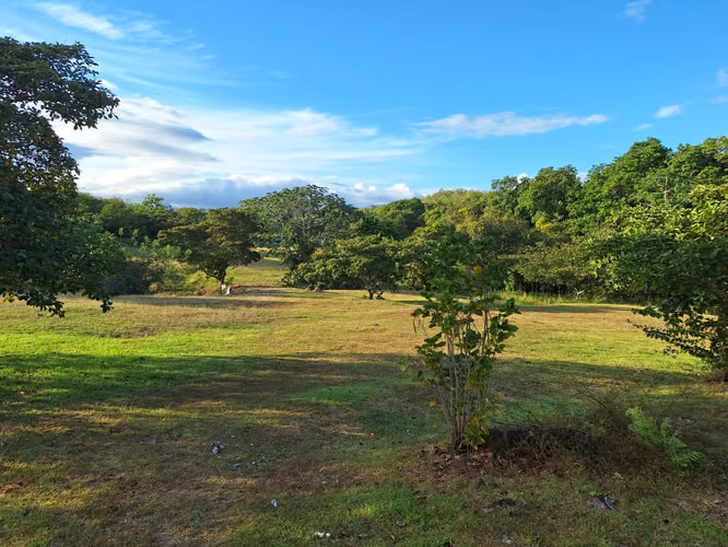 SE VENDE TERRENO EN CORONADO