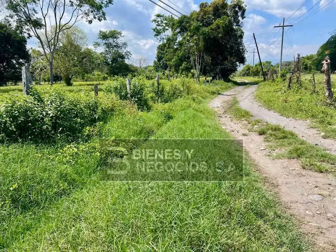 Terreno en Chiriqui, Alanje, 4988,52 mts2 en El Tejar