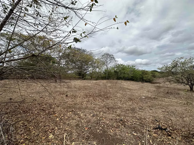 Se Vende Finca de 3 Hectareas con Casa en Las Tablas - Imagen 15
