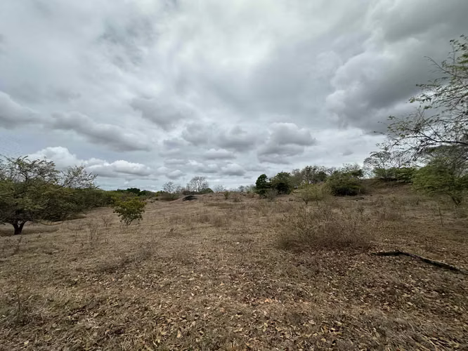 Se Vende Finca de 3 Hectareas con Casa en Las Tablas - Imagen 14