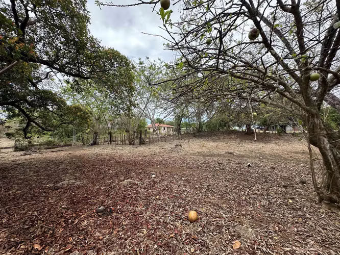 Se Vende Finca de 3 Hectareas con Casa en Las Tablas - Imagen 16