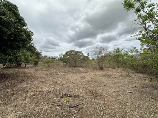 Se Vende Finca de 3 Hectareas con Casa en Las Tablas - Imagen 11