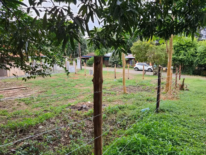 El Sesteadero de Las Tablas