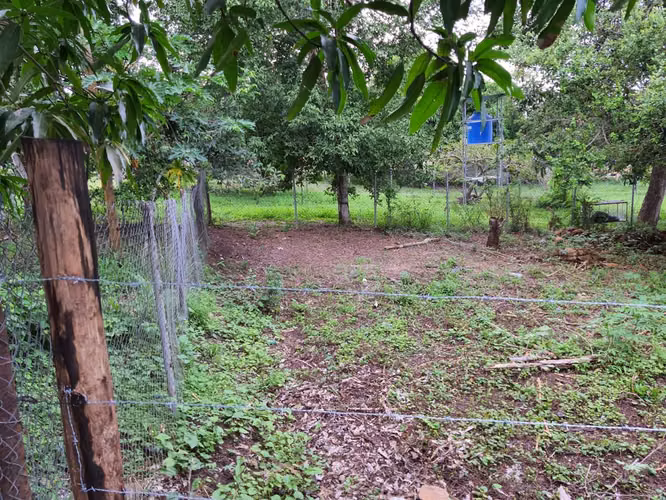 Terreno en El Sesteadero, Las Tablas | Tranquilidad y Vida Campestre - Imagen 6