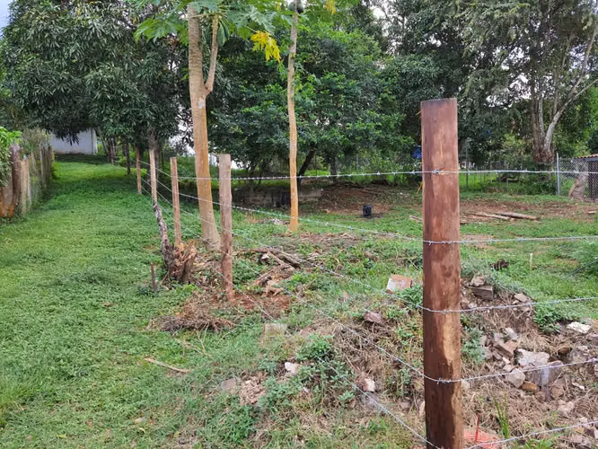 Terreno en El Sesteadero, Las Tablas | Tranquilidad y Vida Campestre - Imagen 2