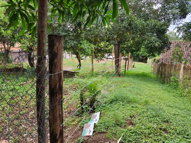Terreno en El Sesteadero, Las Tablas | Tranquilidad y Vida Campestre - Imagen 3