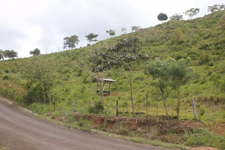 SANTA ROSA, CAPIRA FINCA EN VENTA