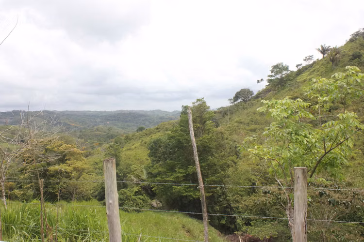 SANTA ROSA, CAPIRA FINCA EN VENTA