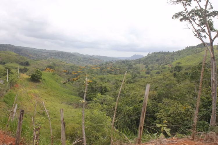 SANTA ROSA, CAPIRA FINCA EN VENTA