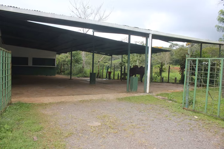 SANTA ROSA CAPIRA LOCAL COMERCIAL EN ALQUILER