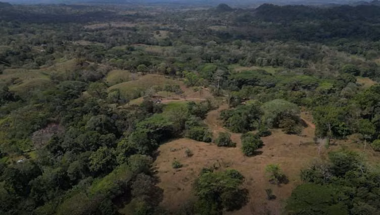 SE VENDE FINCA AGROPECUARIA EN COLON - Imagen 4