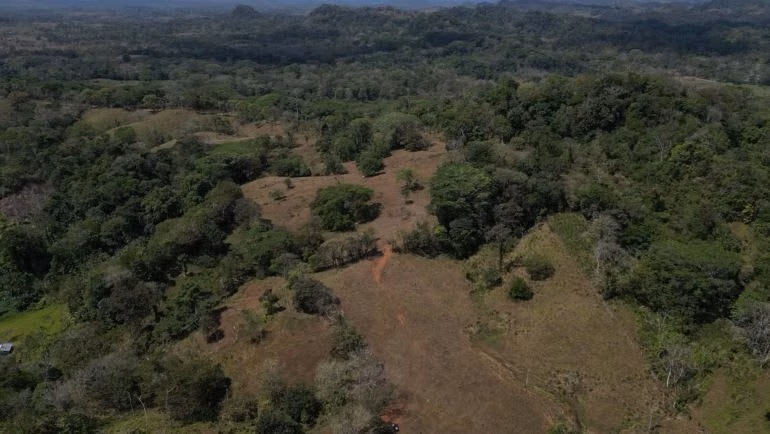 SE VENDE FINCA AGROPECUARIA EN COLON - Imagen 7