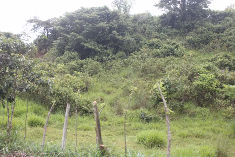 SANTA ROSA CAPIRA VENDO TERRENO