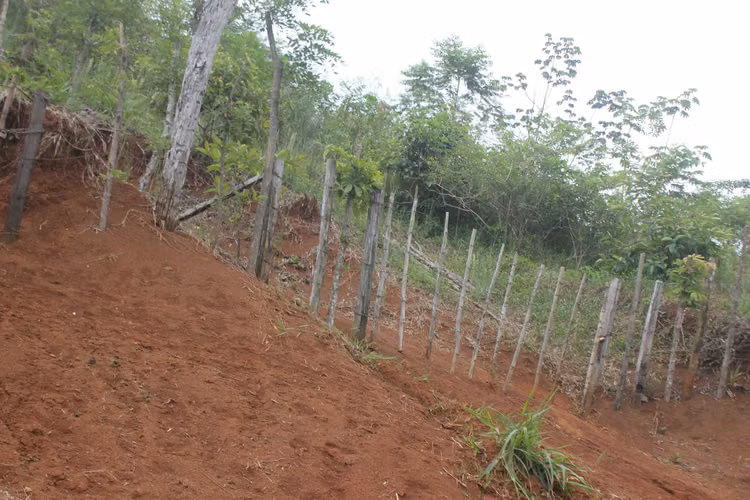 SANTA ROSA CAPIRA VENDO TERRENO