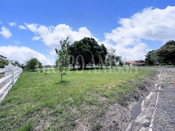 Se Vende Terreno de Esquina en la Colonia Chame - Imagen 3
