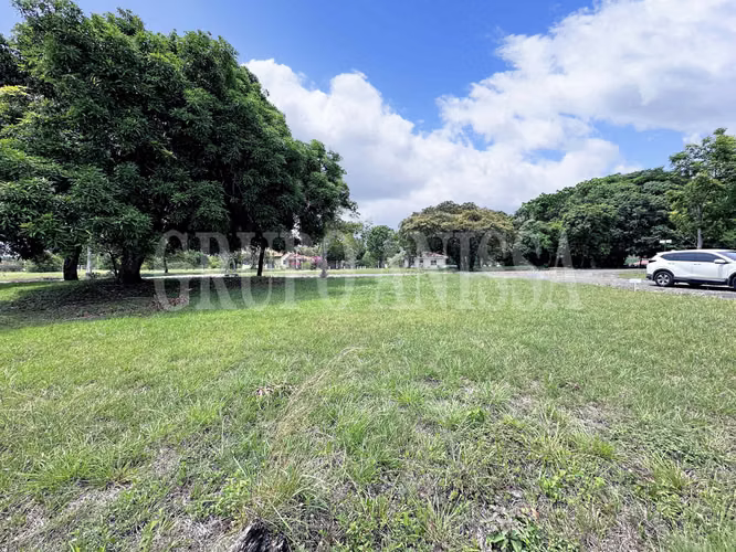 Se Vende Terreno de Esquina en la Colonia Chame - Imagen 4